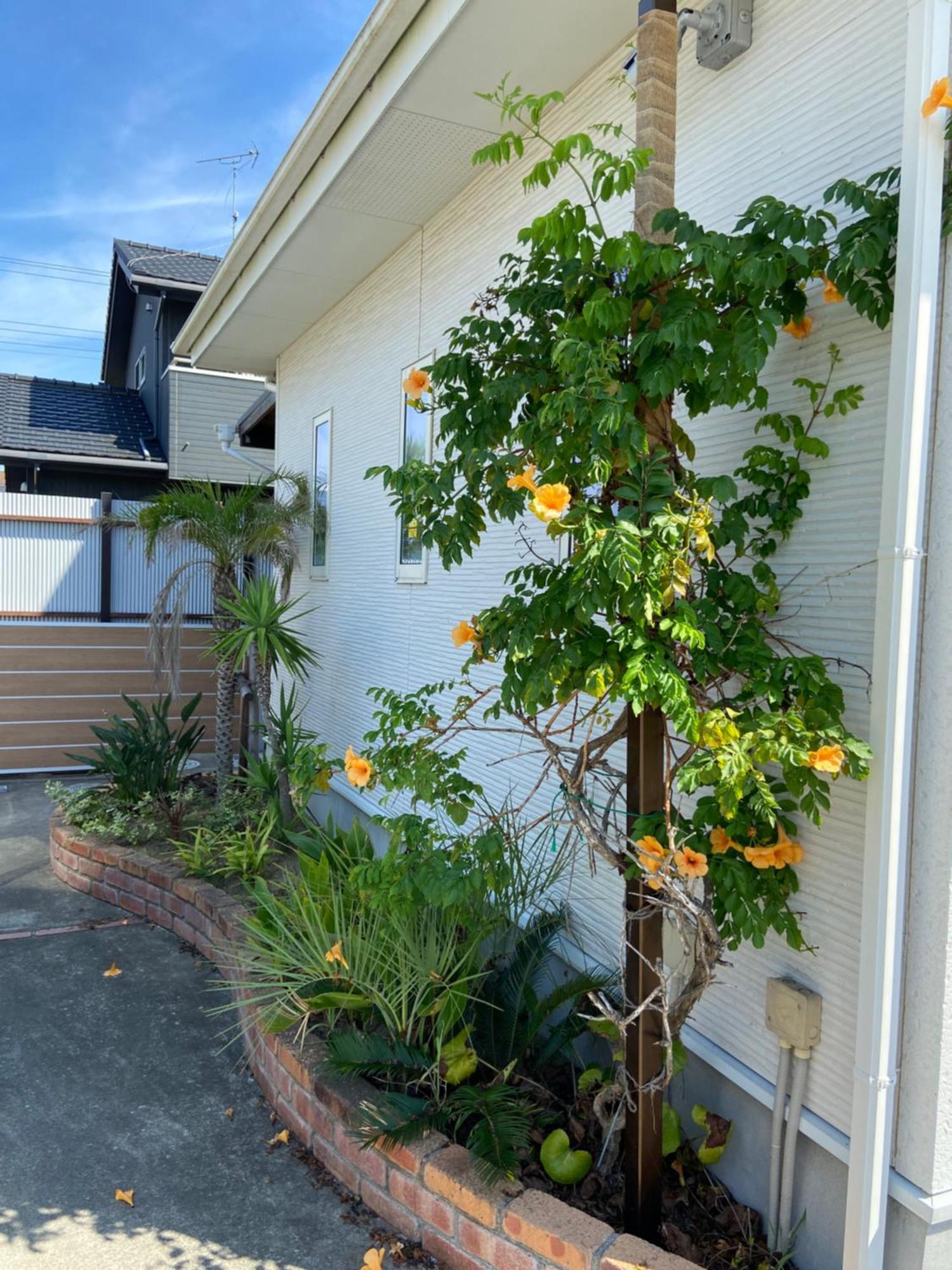 海まで3分bbqテラス付き貸別荘 バケーションレンタルハウス Nalu Resort Japan Ichinomiya  Exterior photo